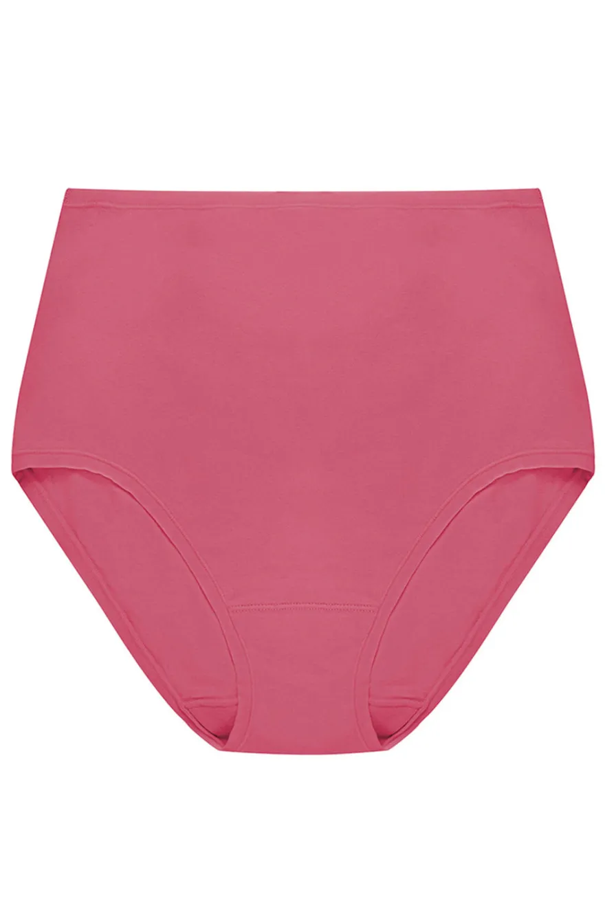 Bliss Bare Cotton High Waist Brief