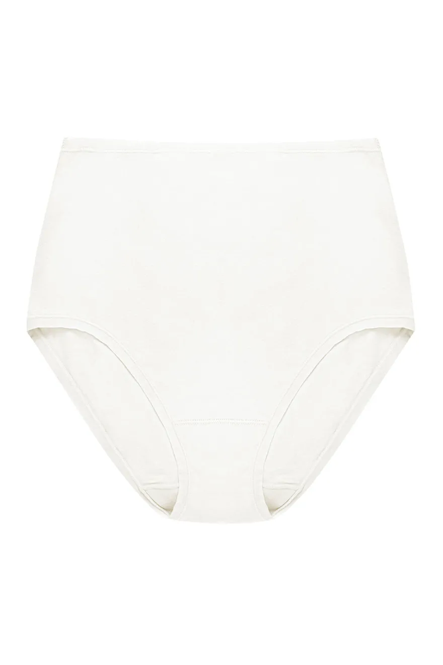 Bliss Bare Cotton High Waist Brief