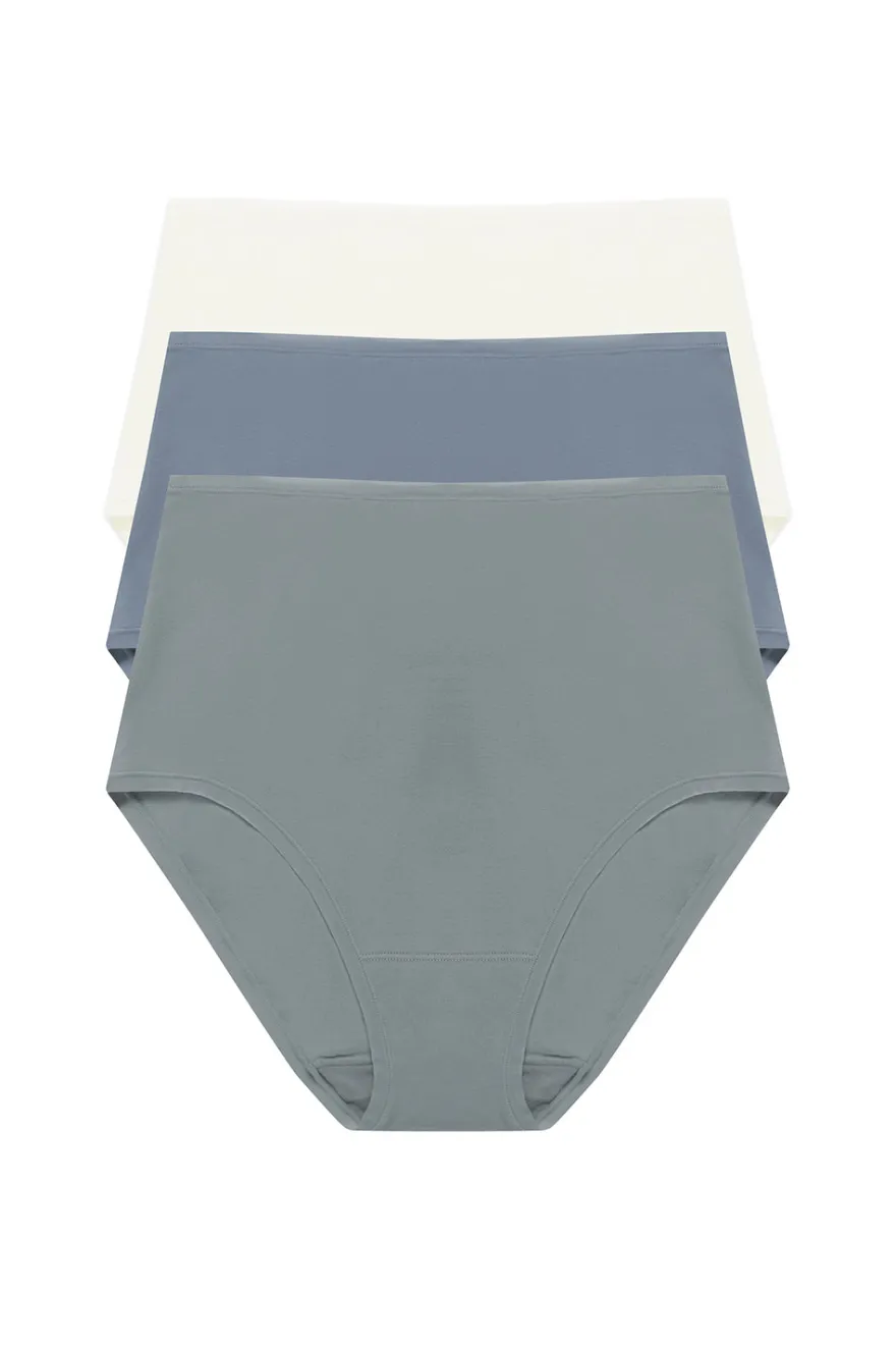 Bliss Bare Cotton High Waist Brief 3-Pack