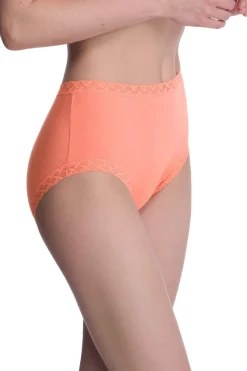 Bliss Full Brief