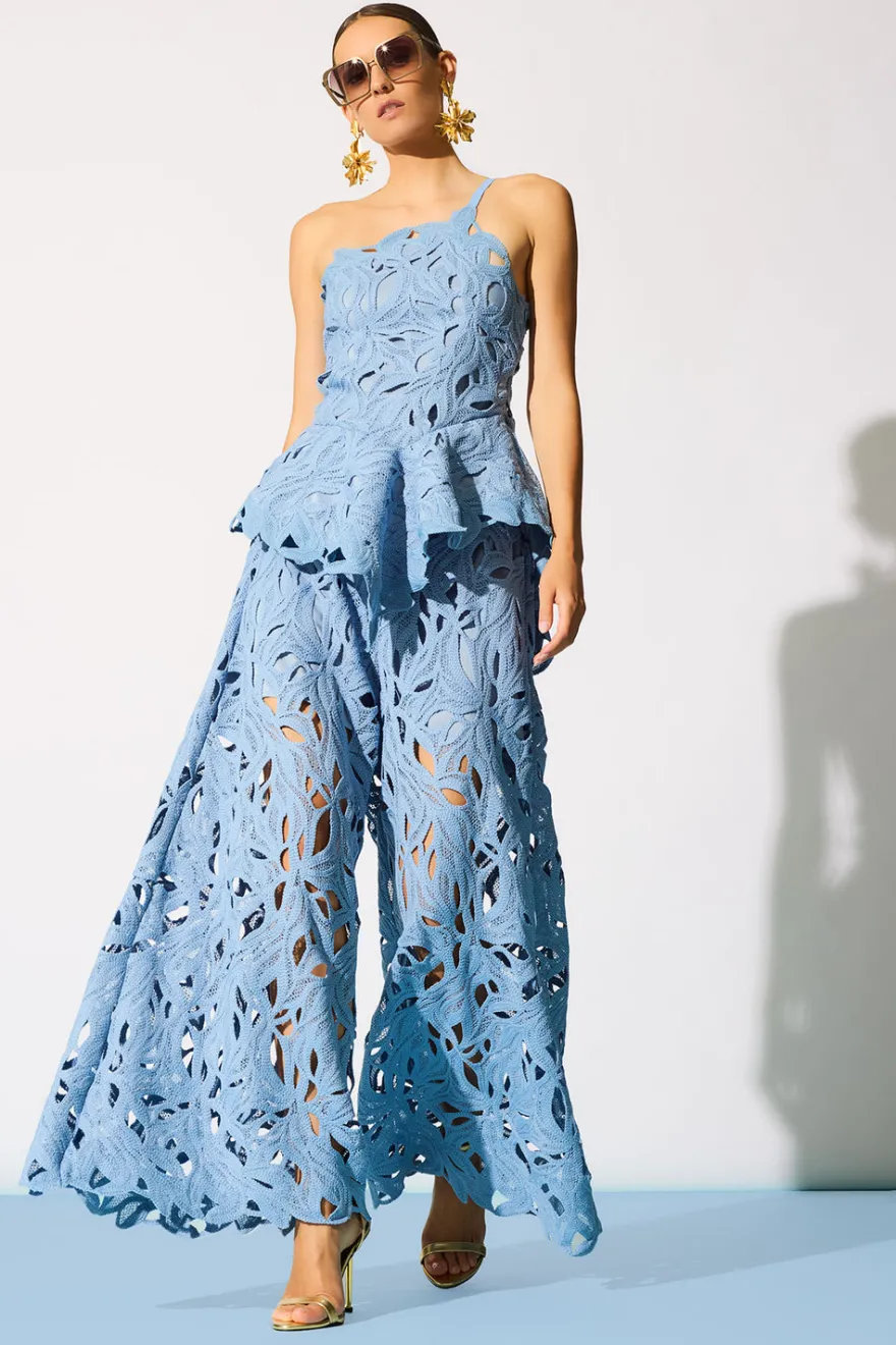 Cutout Leaf Lace Pull On Palazzo Pants