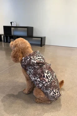 Luxe Leopard Raincoat