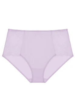 Statement Full Brief