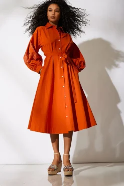 Tech Cotton Taffeta Embroidered Shirtdress