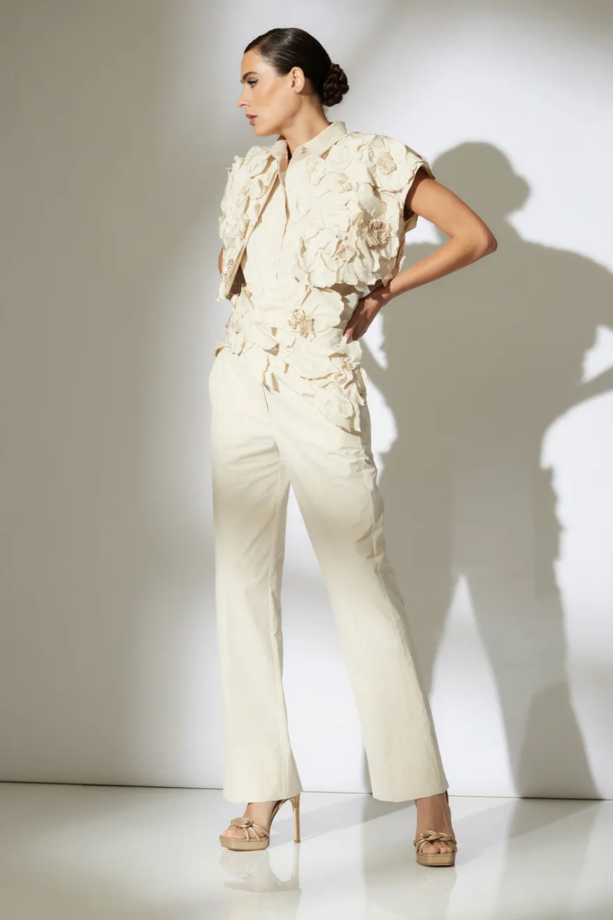 Tech Cotton Taffeta Pants