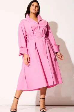 Tech Cotton Taffeta Tunnel Belted Trapeze Dress